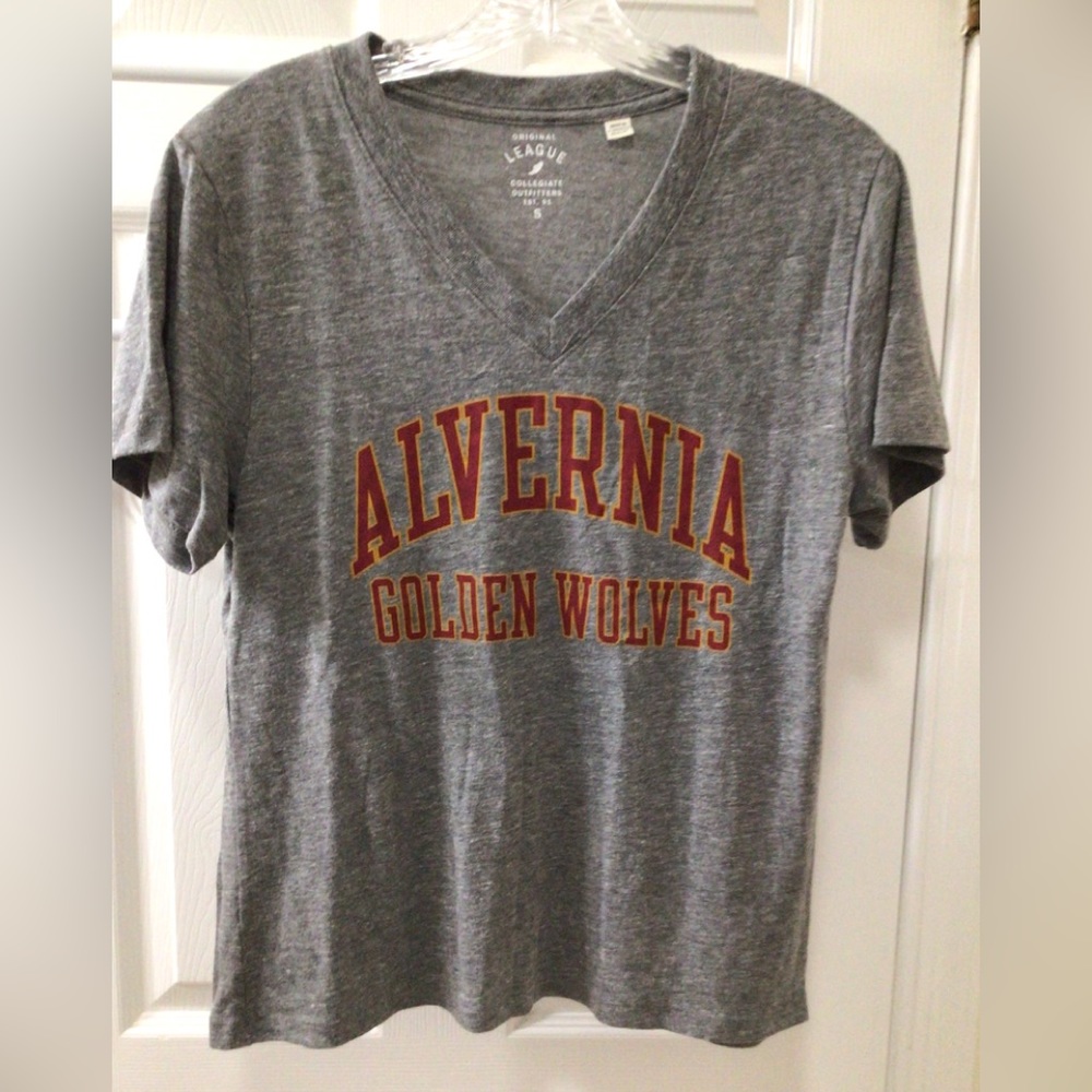 Alvernia University Ladies V-Neck Tshirt